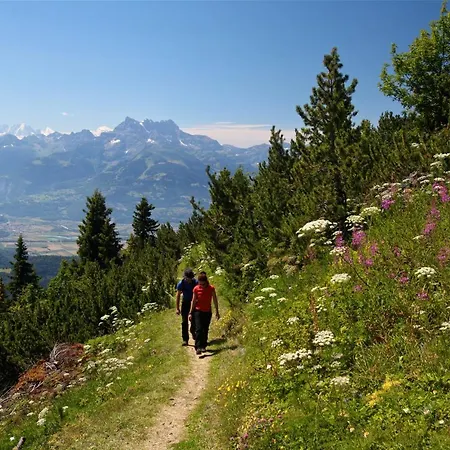 Hotel La Tour D'ai Leysin